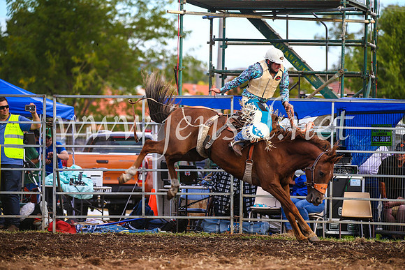 QueanbeyanRodeo2017_3715
