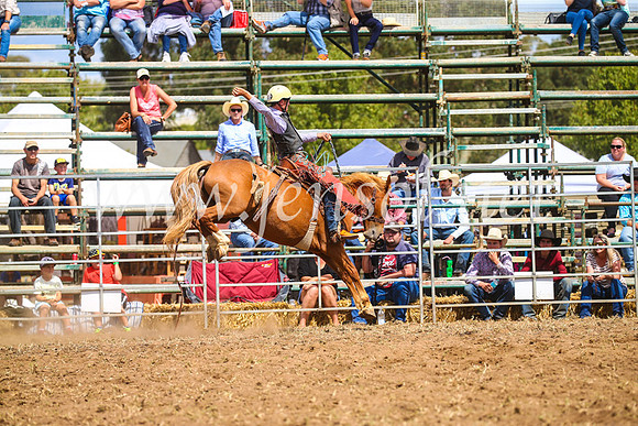 QueanbeyanRodeo2017_2473