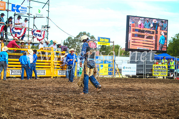 QueanbeyanRodeo2017_3673