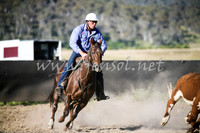 AdaminabyCampdraft2016_2462