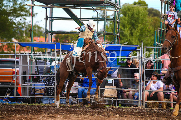 QueanbeyanRodeo2017_3717