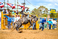 QueanbeyanRodeo2017_2336