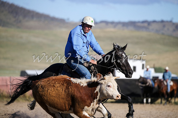 AdaminabyCampdraft2016_2429