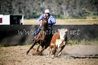 AdaminabyCampdraft2016_2467
