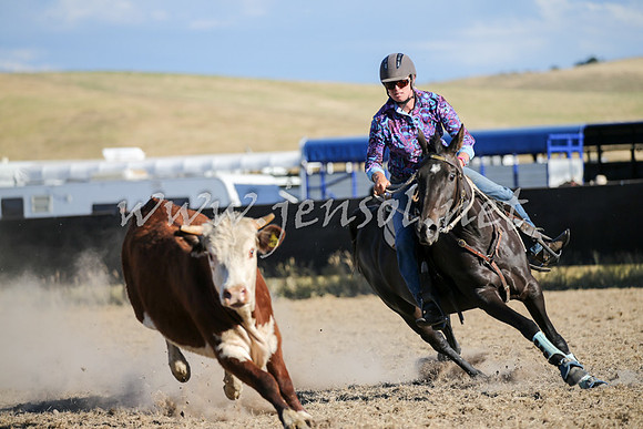 AdaminabyCampdraft2016_2453