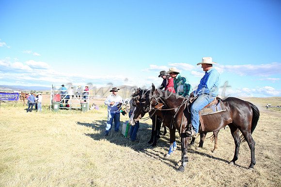 AdaminabyCampdraft2016_5539