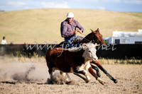 AdaminabyCampdraft2016_2499