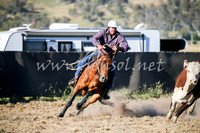 AdaminabyCampdraft2016_2482
