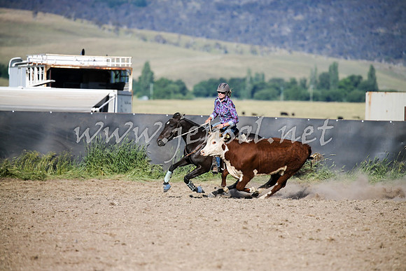 AdaminabyCampdraft2016_2457