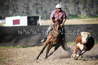 AdaminabyCampdraft2016_2443