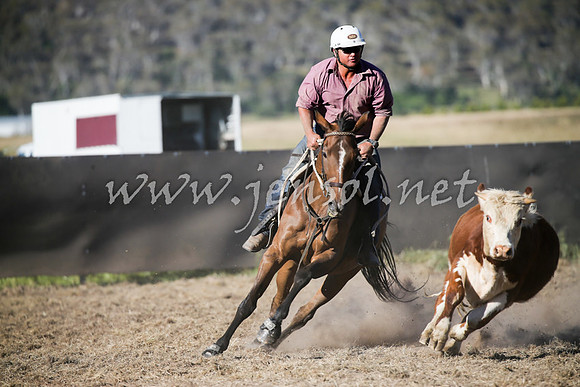 AdaminabyCampdraft2016_2443
