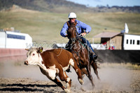 AdaminabyCampdraft2016_2470