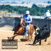 BraidwoodCampdraft2021_8533