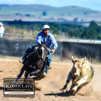 BraidwoodCampdraft2021_8636