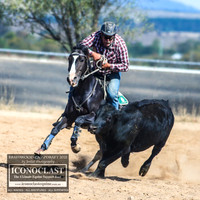 BraidwoodCampdraft2021_8521