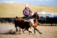 AdaminabyCampdraft2016_2498