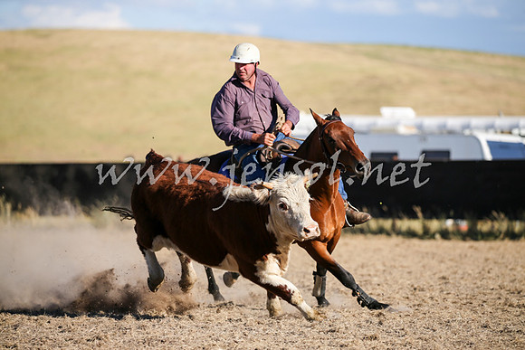 AdaminabyCampdraft2016_2498