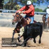 BraidwoodCampdraft2021_8588