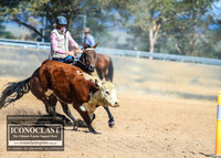 BraidwoodCampdraft2021_8563