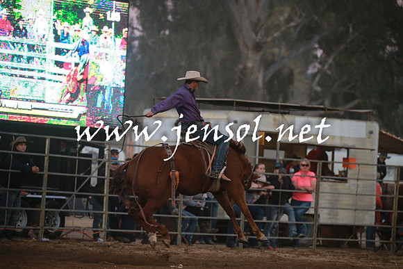 TumutRodeo2016Two_5459