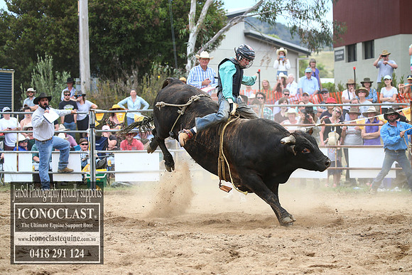 JindabyneRodeo2017_4568