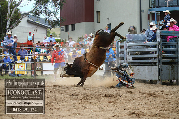 JindabyneRodeo2017_4292