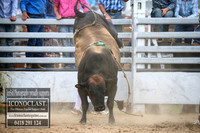 JindabyneRodeo2017_2560