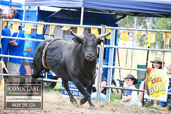 JindabyneRodeo2017_2861