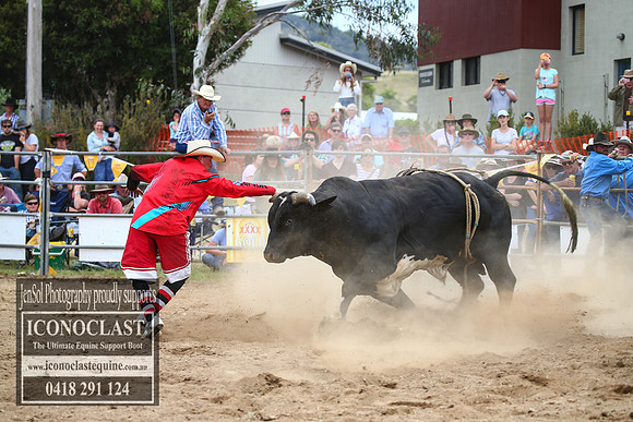 JindabyneRodeo2017_4536