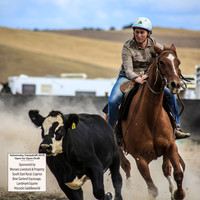 AdaminabyCampdraft2019_1545