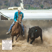 AdaminabyCampdraft2019_1516