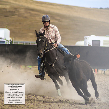 AdaminabyCampdraft2019_1520