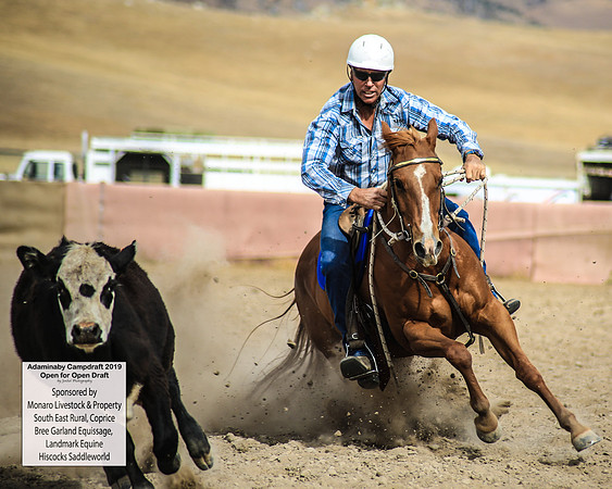 AdaminabyCampdraft2019_1445