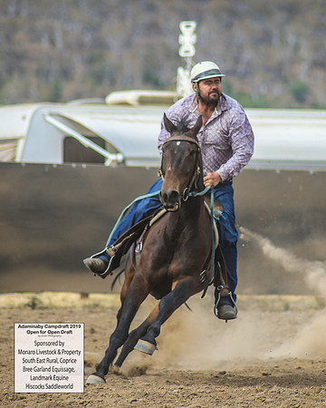 AdaminabyCampdraft2019_1461