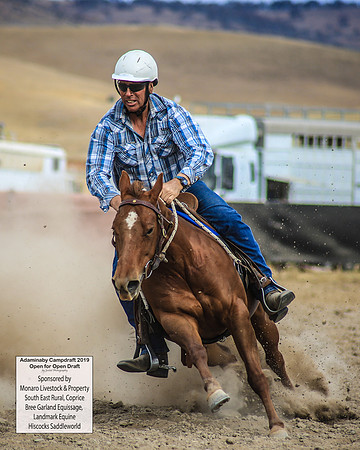 AdaminabyCampdraft2019_1493