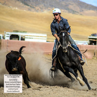 AdaminabyCampdraft2019_1396