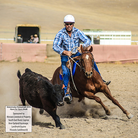 AdaminabyCampdraft2019_1389
