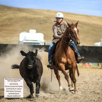 AdaminabyCampdraft2019_1428