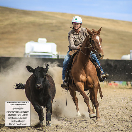 AdaminabyCampdraft2019_1428