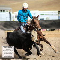 AdaminabyCampdraft2019_1378