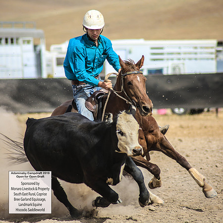 AdaminabyCampdraft2019_1378