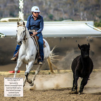 AdaminabyCampdraft2019_1476