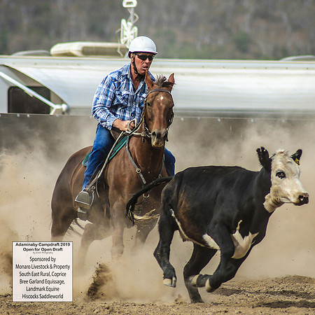 AdaminabyCampdraft2019_1459