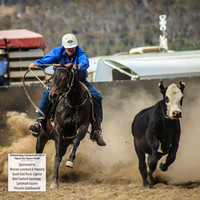AdaminabyCampdraft2019_1512
