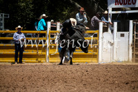 TaralgaRodeoSun2017_2033