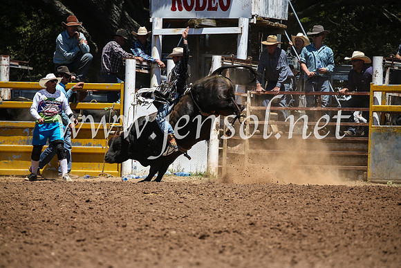TaralgaRodeoSun2017_2039