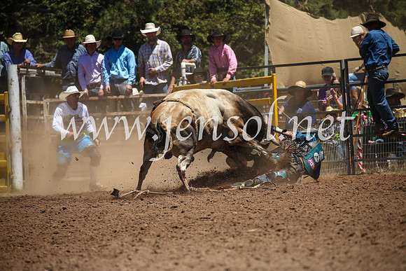 TaralgaRodeoSun2017_2397