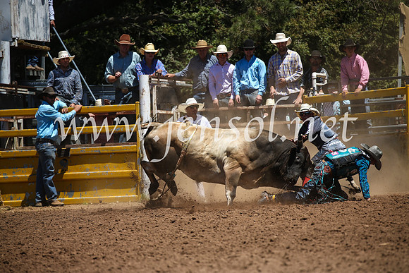 TaralgaRodeoSun2017_2406