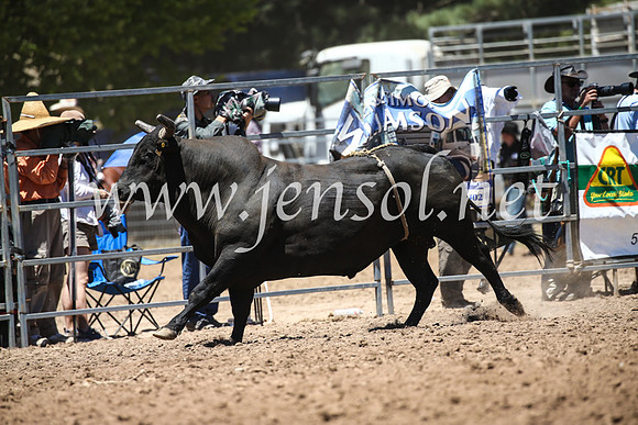 TaralgaRodeoSun2017_2135
