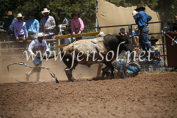 TaralgaRodeoSun2017_2399